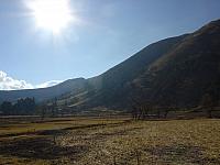 DSC01233