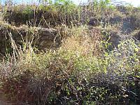 DSC01242