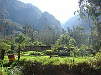 DSC01247