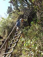 DSC01311 easier ladder