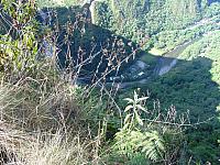 DSC01336