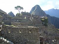 DSC01352