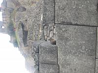 Machu Picchu 048 bunny