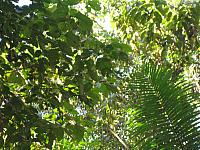 Posada Amazonas 129
