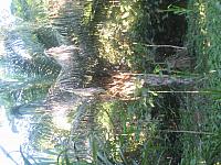 Posada Amazonas 145 the Shaman s