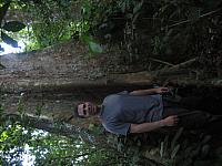 Posada Amazonas 153