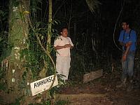 Posada Amazonas 165 famous hallucinogenic plants