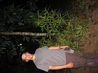 Posada Amazonas 171