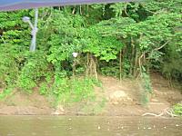 posadaAmazonas1