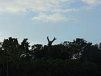 DSC01034