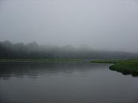 DSC01052 an Oxbow lake in the morning mist