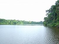 DSC01076 other side of the lake where otters play