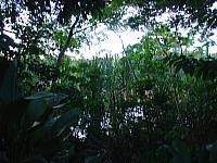 DSC01093