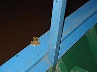 DSC01099 frog