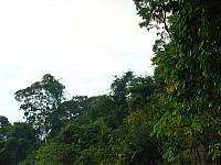 DSC01108