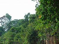 DSC01109