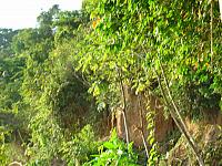 DSC01111