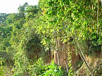 DSC01114