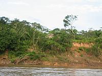 Posada Amazonas 034
