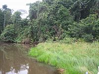 Posada Amazonas 058