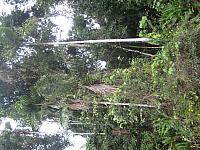 Posada Amazonas 069