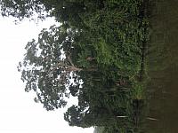 Posada Amazonas 070