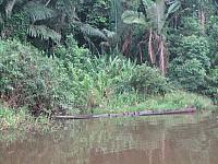 Posada Amazonas 076 old kayak