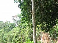 Posada Amazonas 105