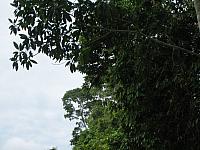 Posada Amazonas 108