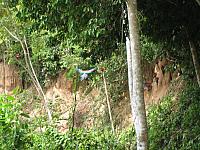 Posada Amazonas 110
