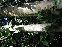 Posada Amazonas 127