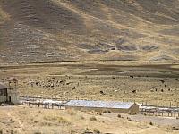 Bus to Puno 031