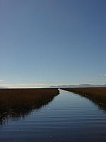 DSC01381 channel through the reeds